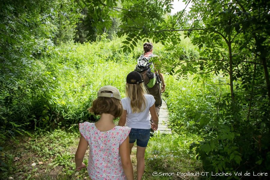 Balade sensorielle – maternelle au CE2